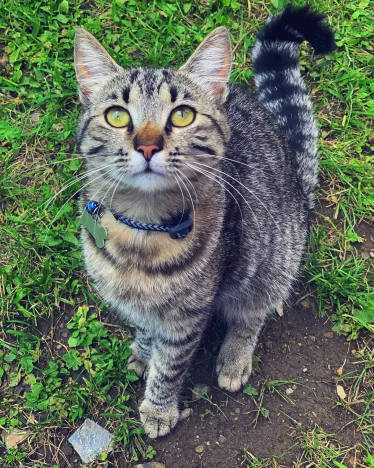 Kevin