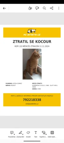 Kofi, Kofítko