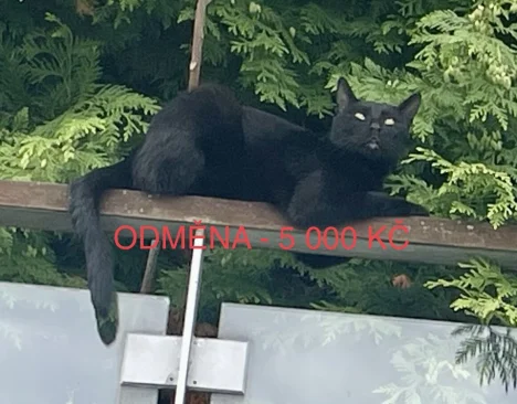 Mikeš