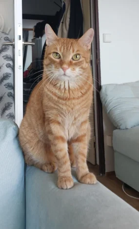 Oliver