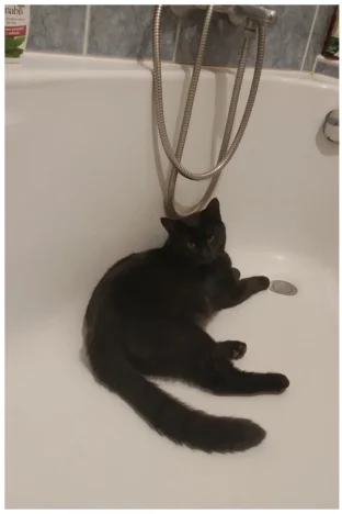 Hubert