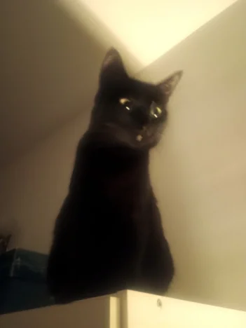 Rozinka (Rozi)