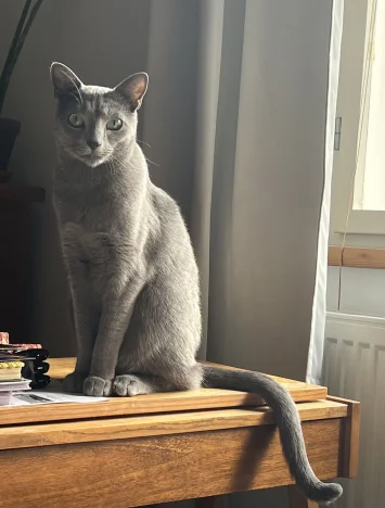 Aegir (slyší na Juzi)