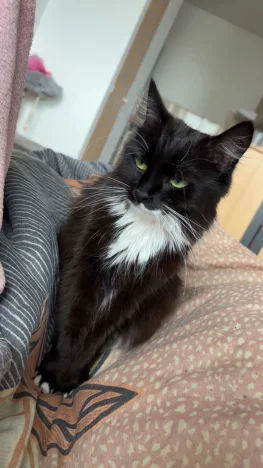 Chloe