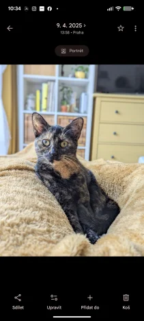 Phoebe