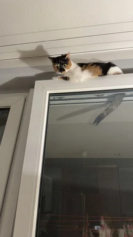 Milka